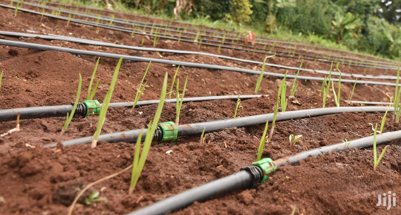 Appropriate Technology Nile AgroTech and Seed Company Limited (NATSCO)